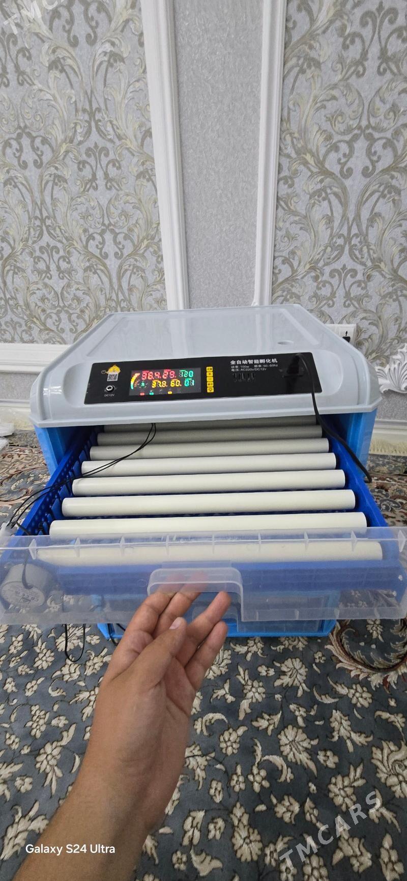 Inkubator - Gökdepe - img 5