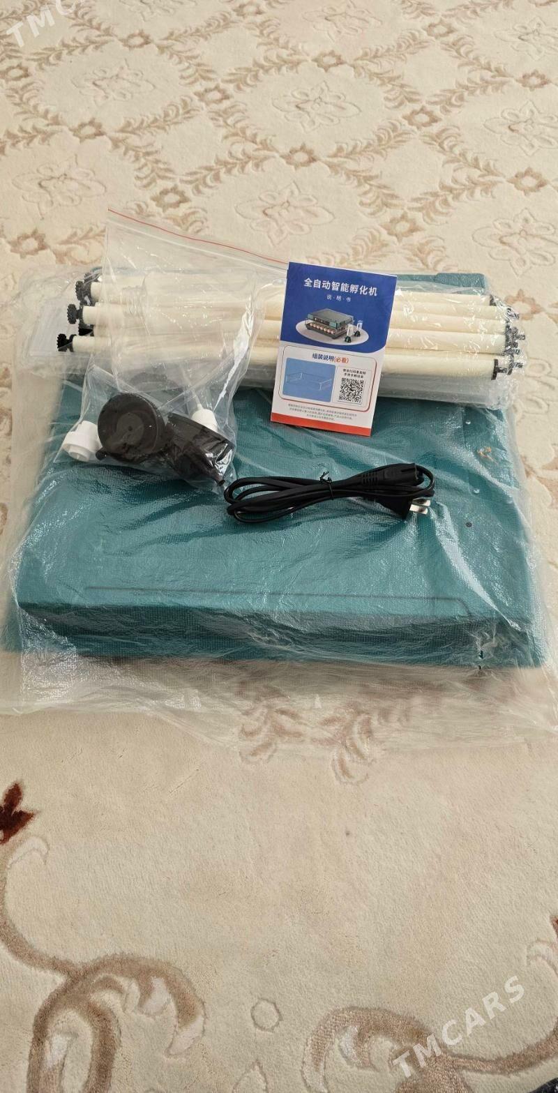 Inkubator - Gökdepe - img 7