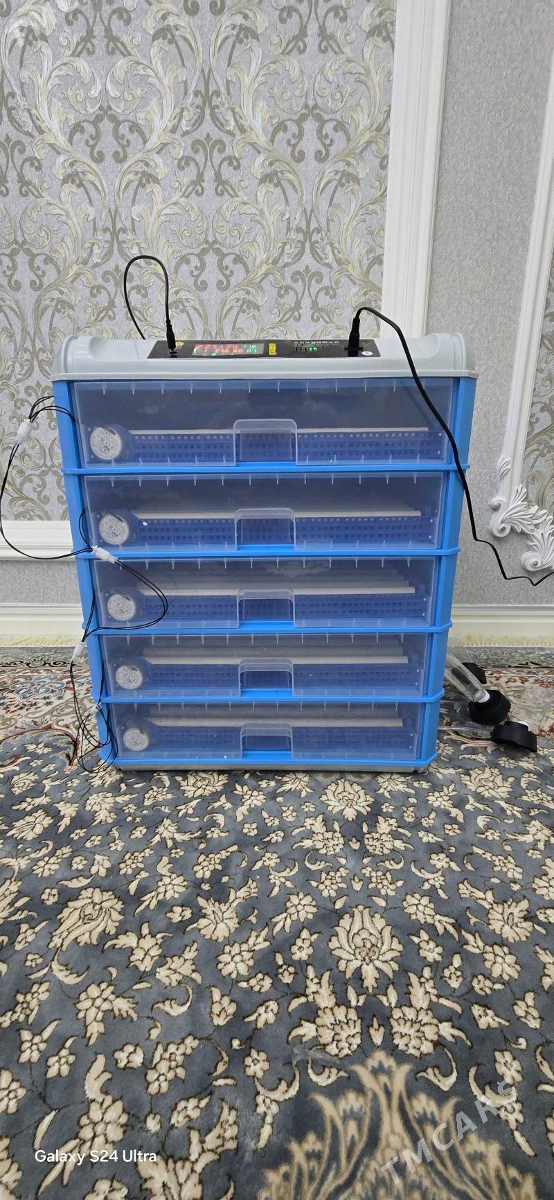 Inkubator - Gökdepe - img 3