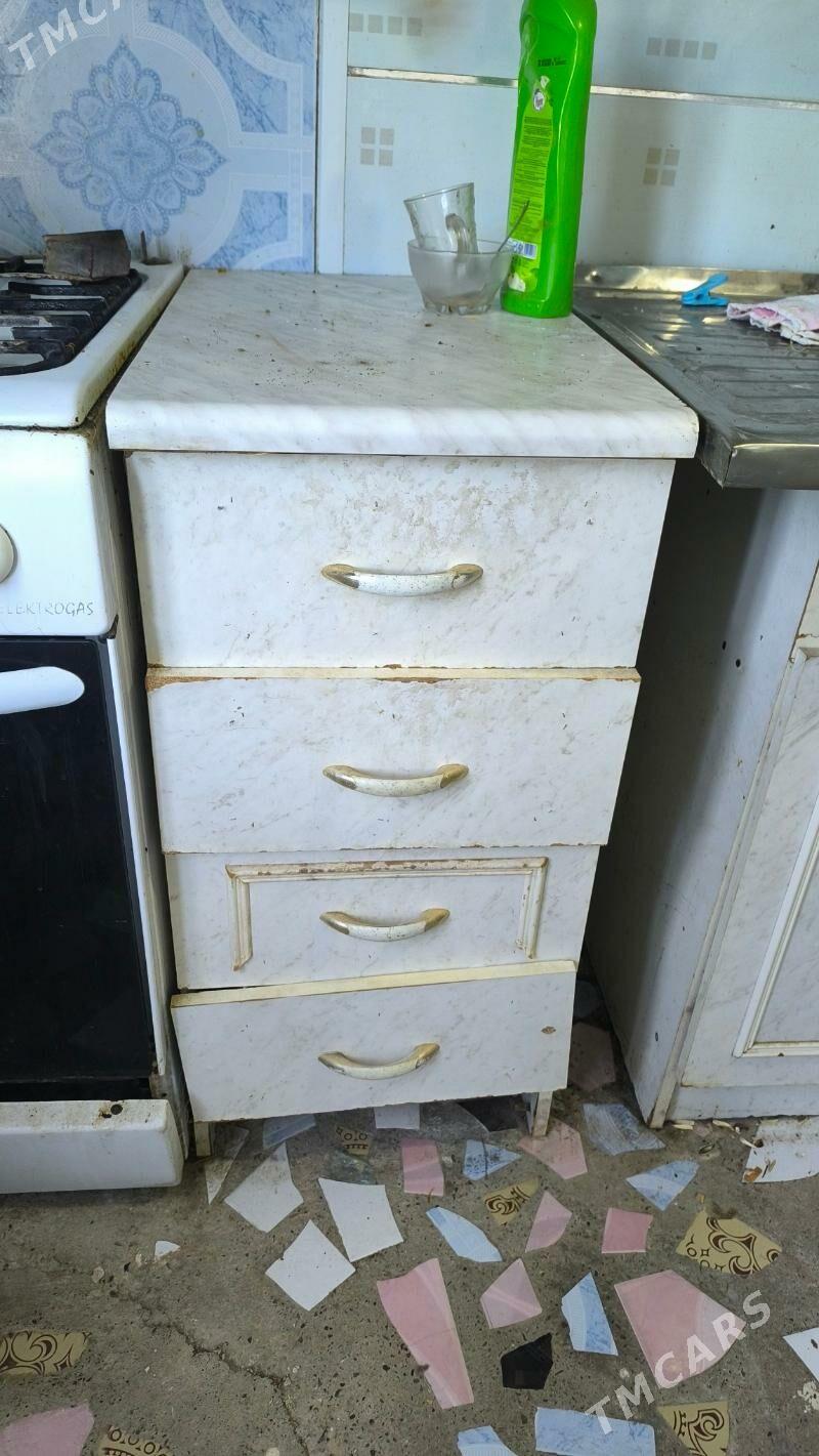 Satlyk hojalyk harytlar - Büzmeýin - img 3