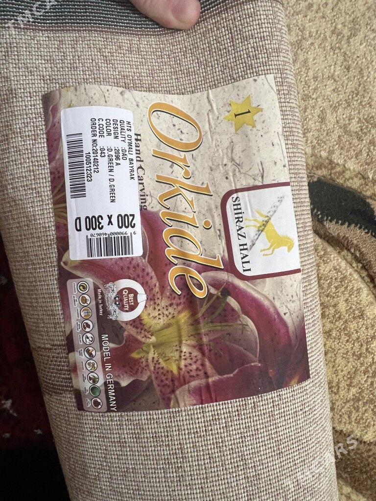 haly - Дашогуз - img 2