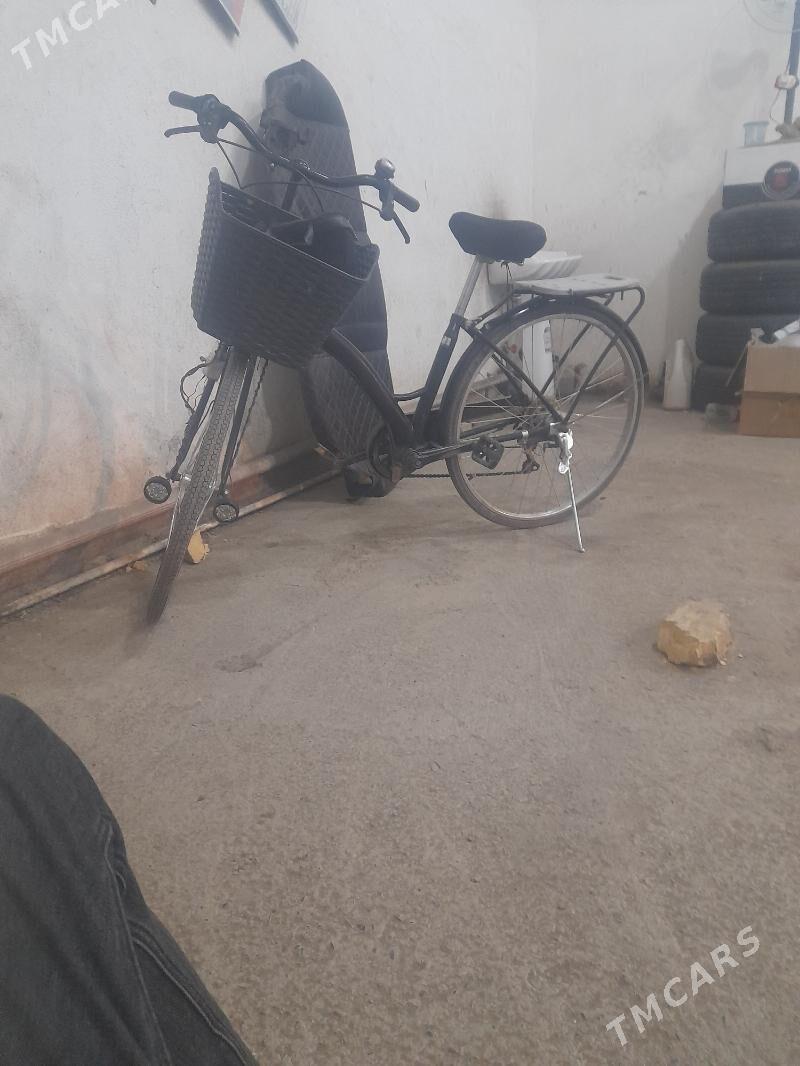 welsepet - Мары - img 3