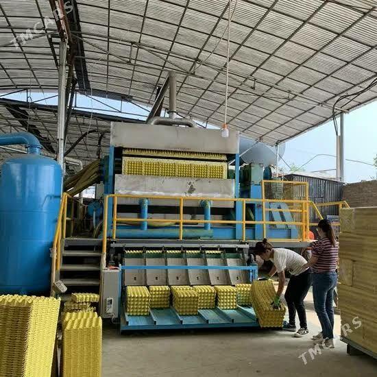 Ýumurtga latok liniýasy - Туркменабат - img 5