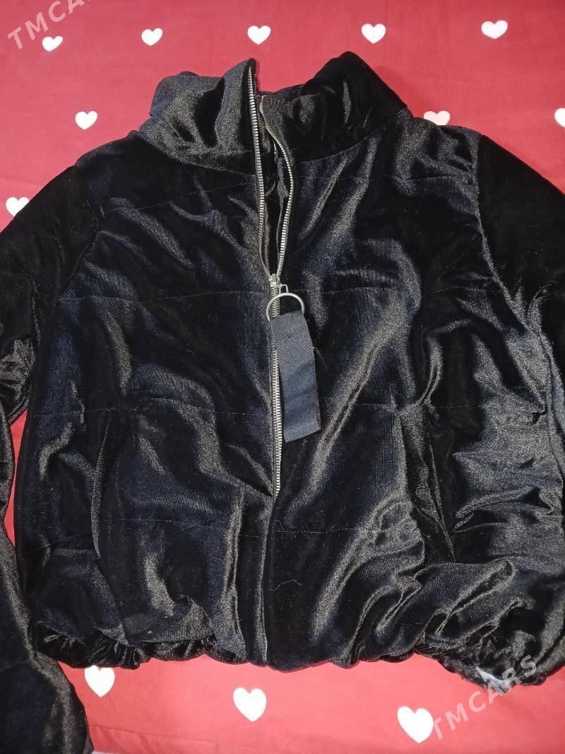 kurtga - Daşoguz - img 1