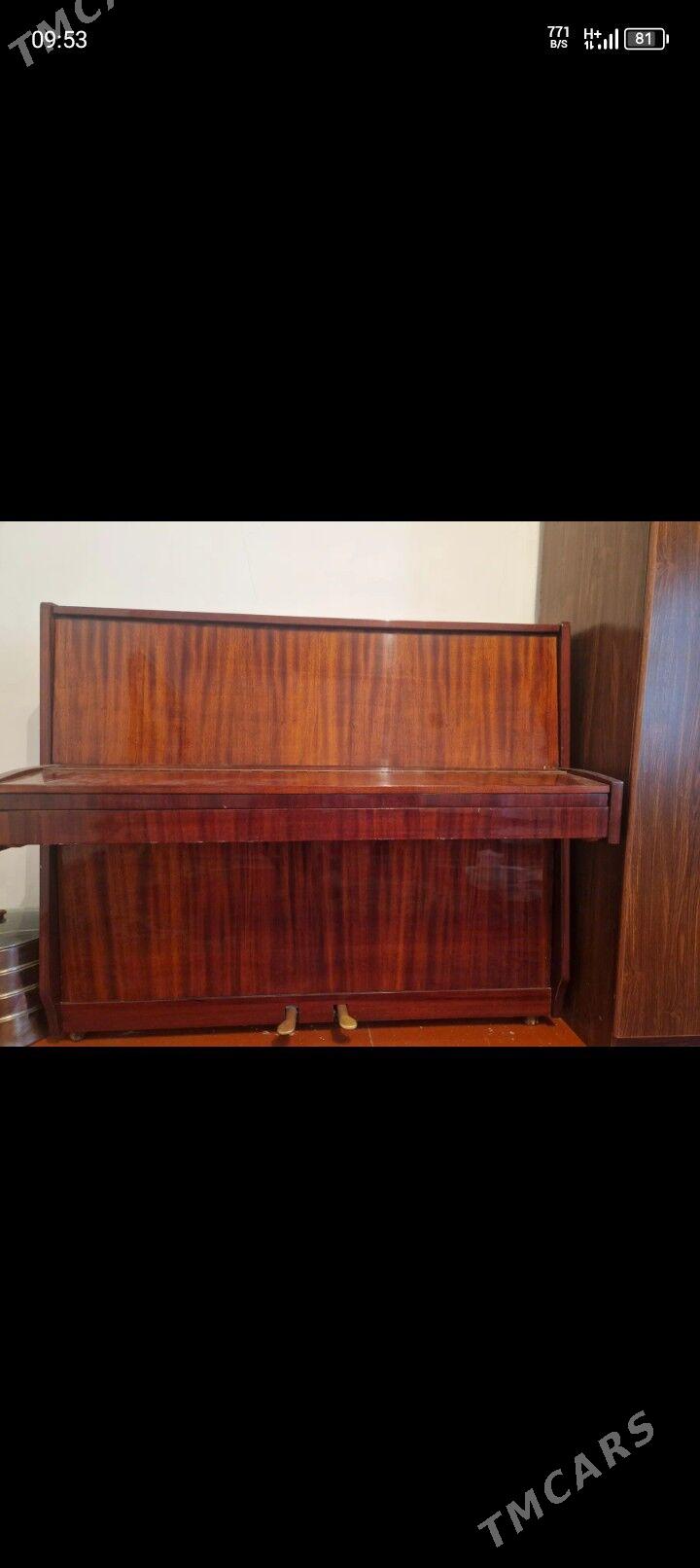 pionina - Векильбазар - img 2