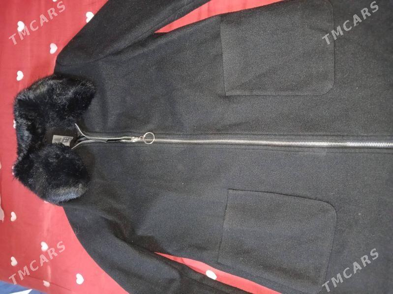 palto - Daşoguz - img 1