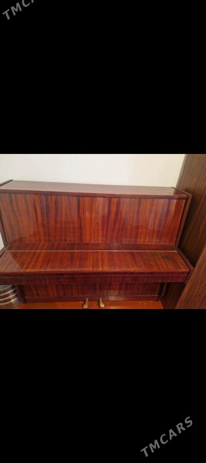 pionina - Векильбазар - img 1