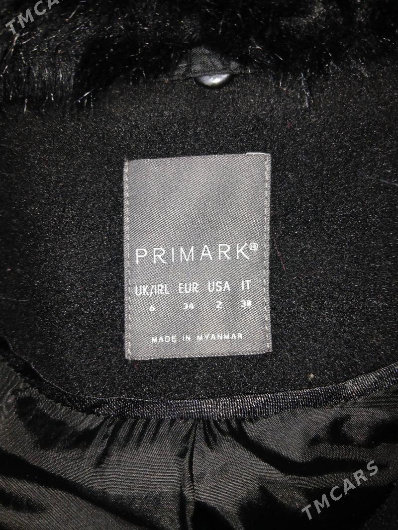 palto - Daşoguz - img 2