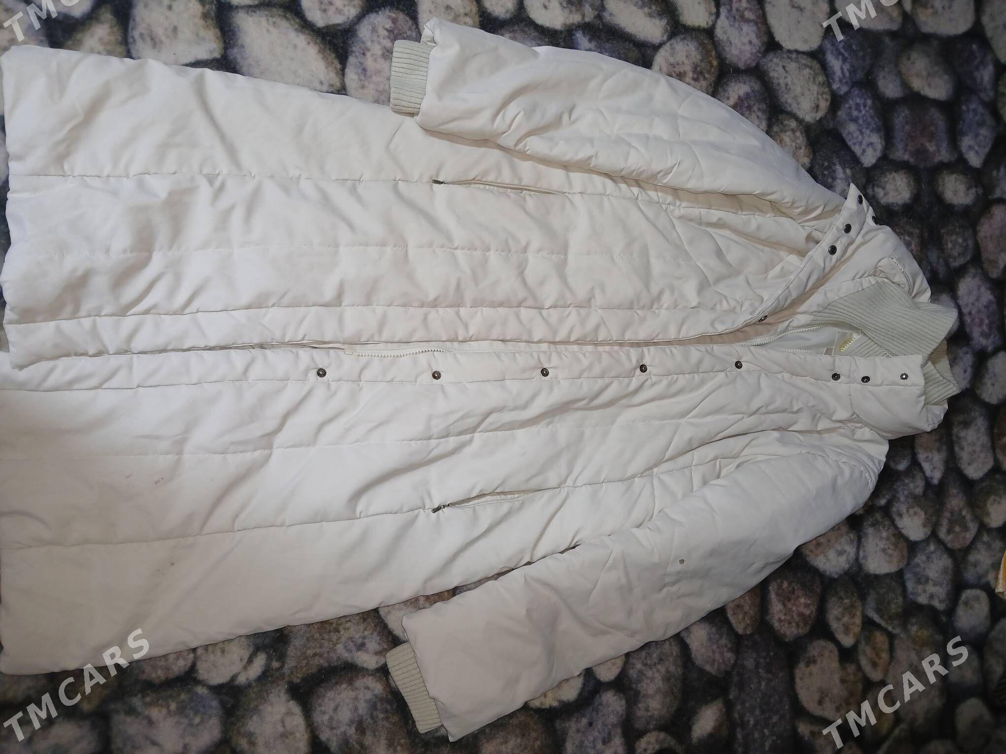 ak kurtga - Daşoguz - img 1