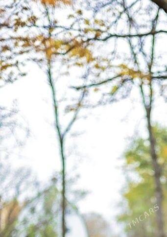 продаётся дача - Туркменабат - img 1