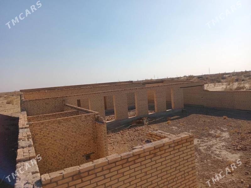 Çöl mellek - Sakar - img 8