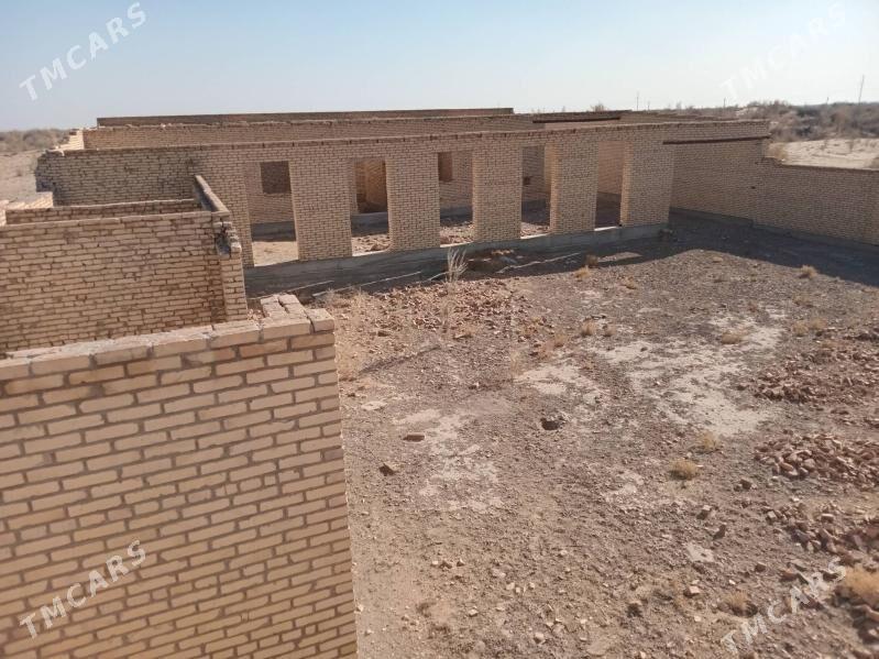 Çöl mellek - Sakar - img 3