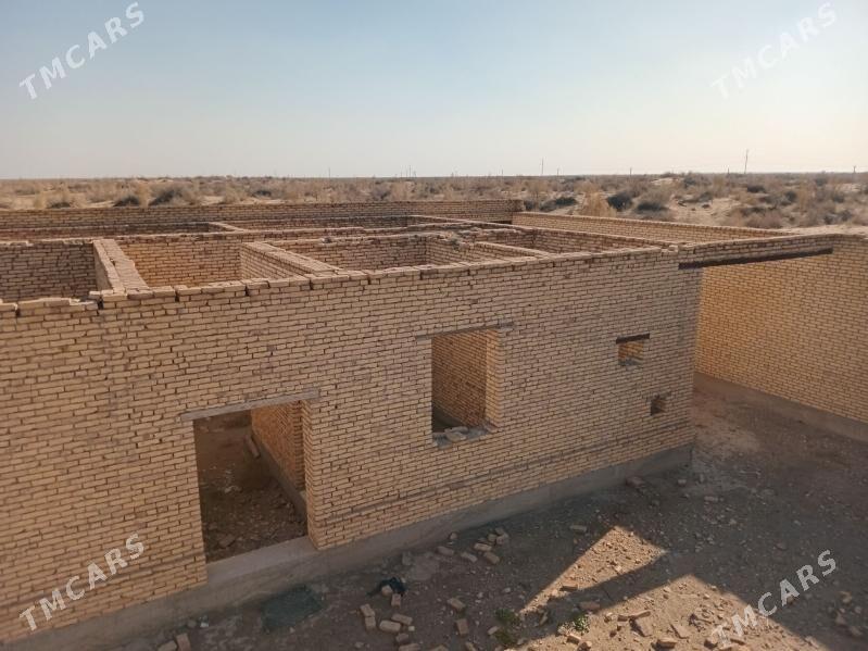 Çöl mellek - Sakar - img 9