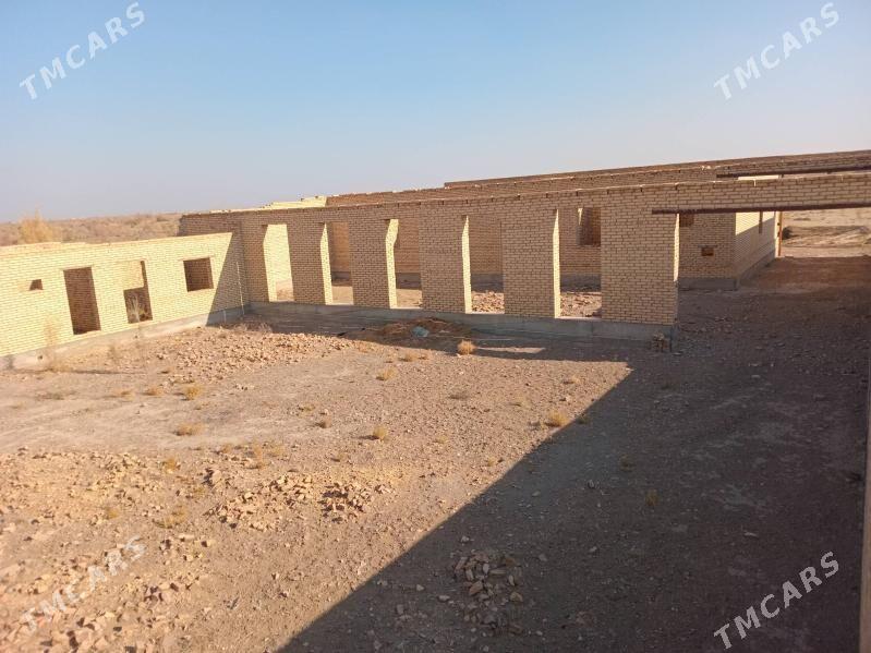 Çöl mellek - Sakar - img 1