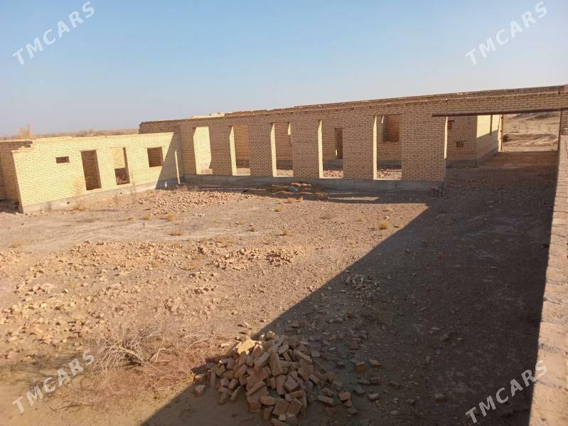 Çöl mellek - Sakar - img 4