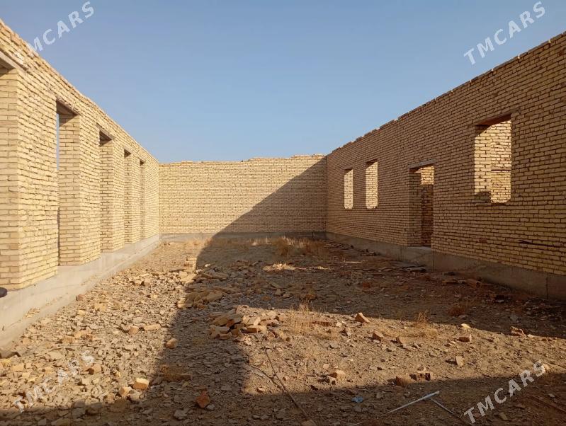 Çöl mellek - Sakar - img 7