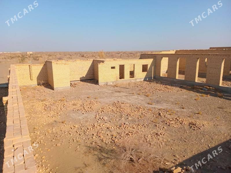 Çöl mellek - Sakar - img 10