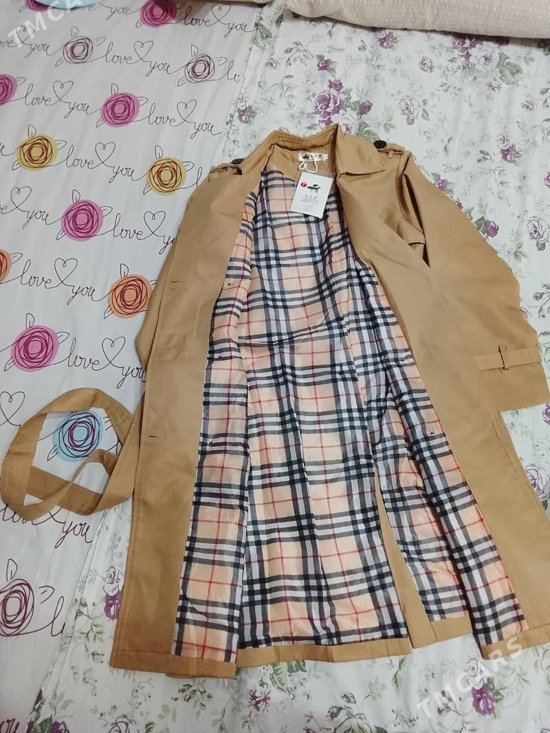 plash - Daşoguz - img 4