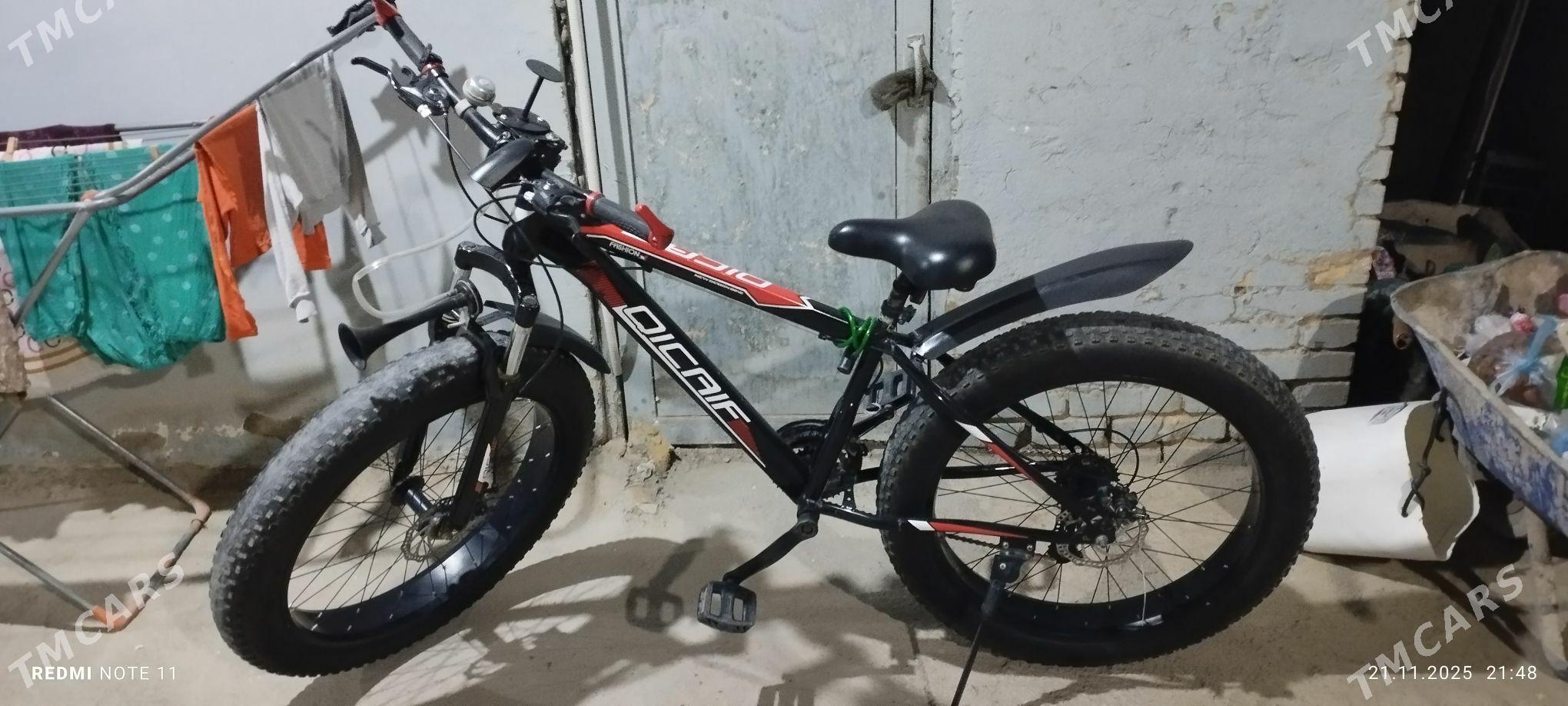 Tigir - Änew - img 1