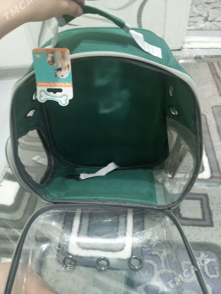 pisik ,gujuk üçin sumkalar - Туркменабат - img 6