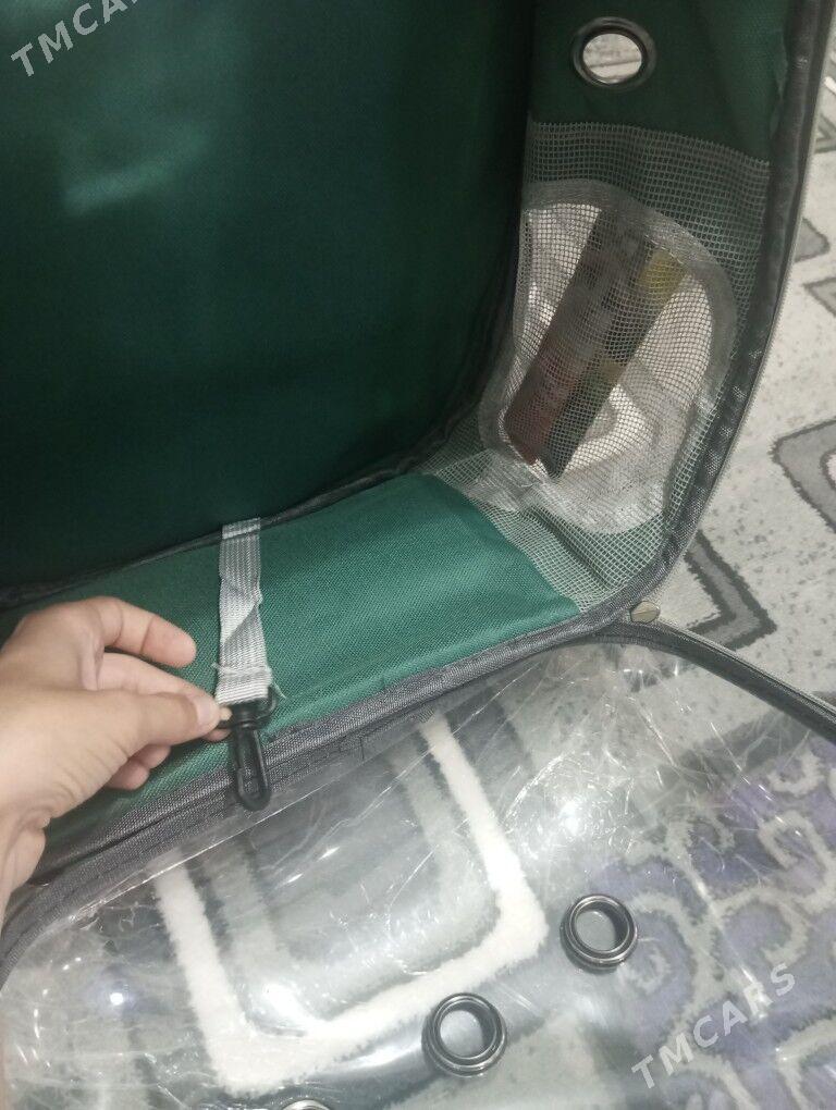 pisik ,gujuk üçin sumkalar - Туркменабат - img 7