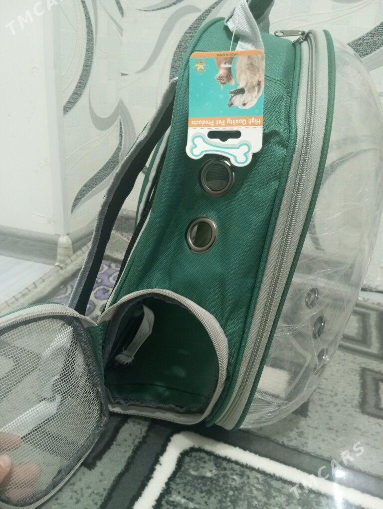 pisik ,gujuk üçin sumkalar - Туркменабат - img 2