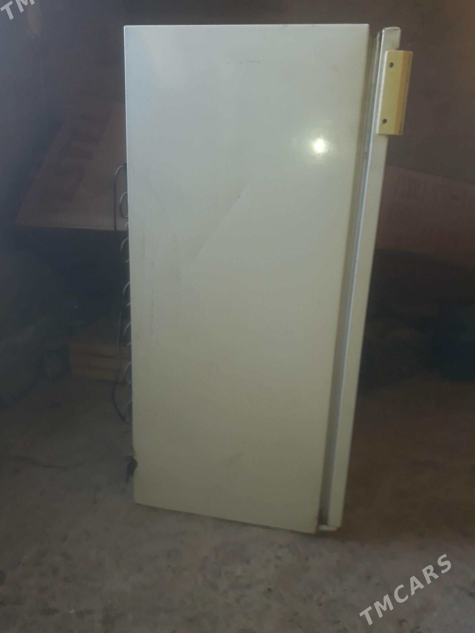 holadynyk - Murgap - img 4