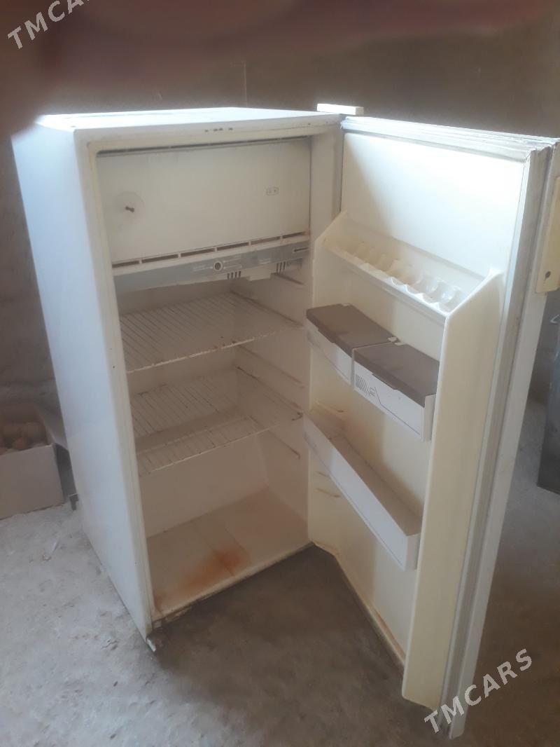 holadynyk - Murgap - img 1