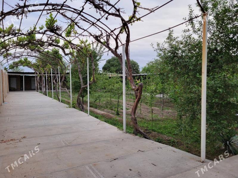 plan jaý satlyk Frunze töwere - Mary - img 7