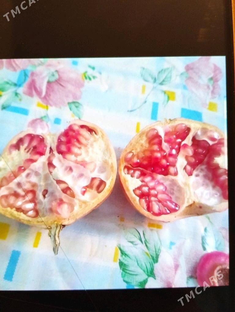 Bidane nar nahaly - Туркменгала - img 2