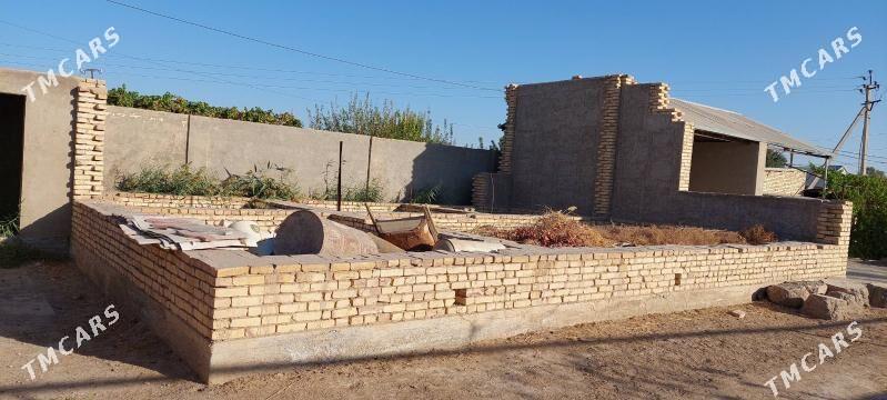 satlyk daca - Mary - img 6