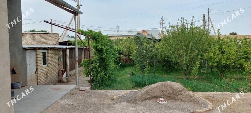 satlyk daca - Mary - img 3