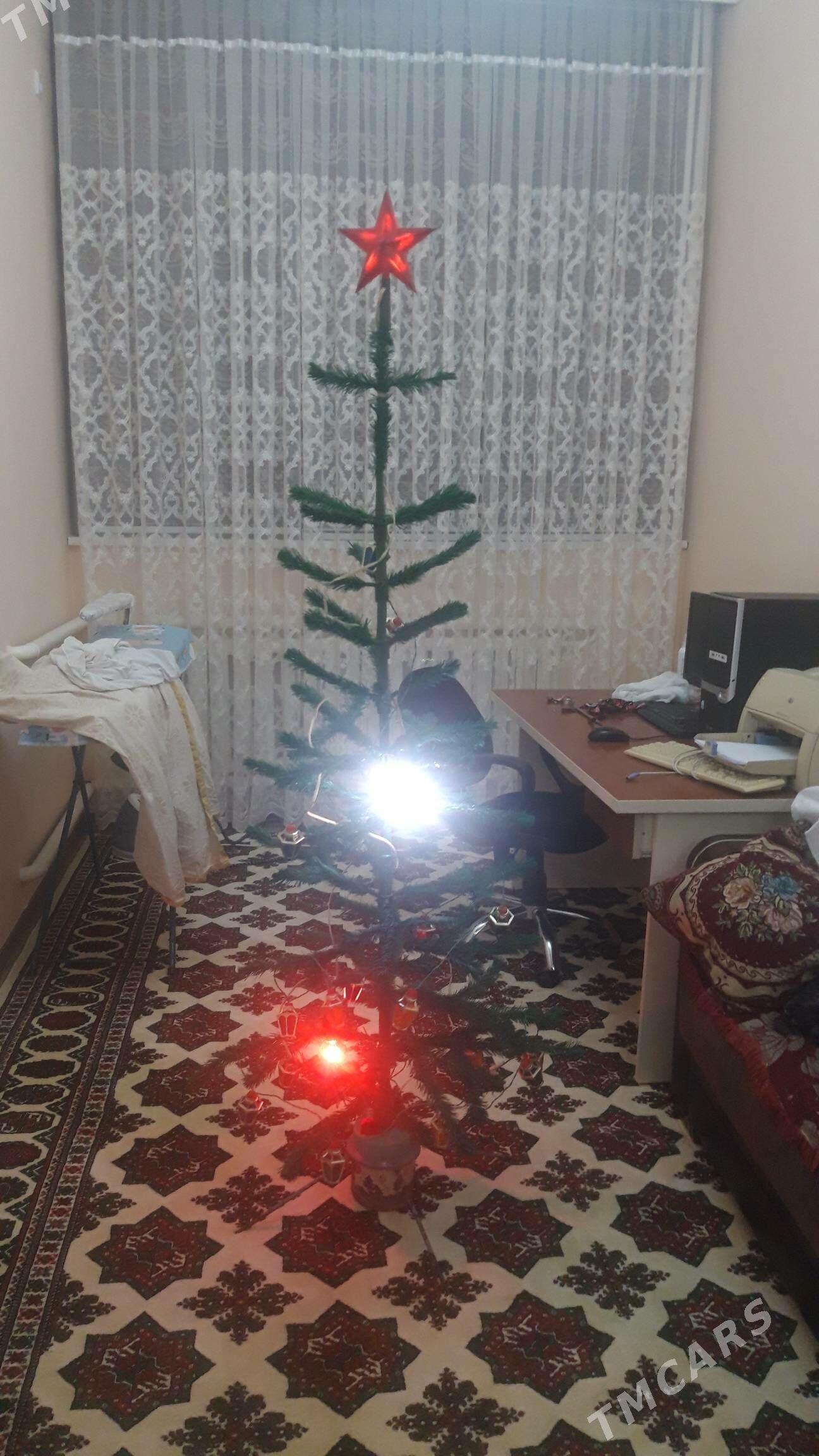 Yolka - Daşoguz - img 2