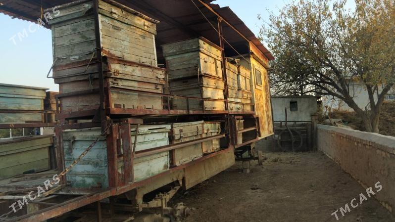 ary teleske - Babadaýhan - img 2