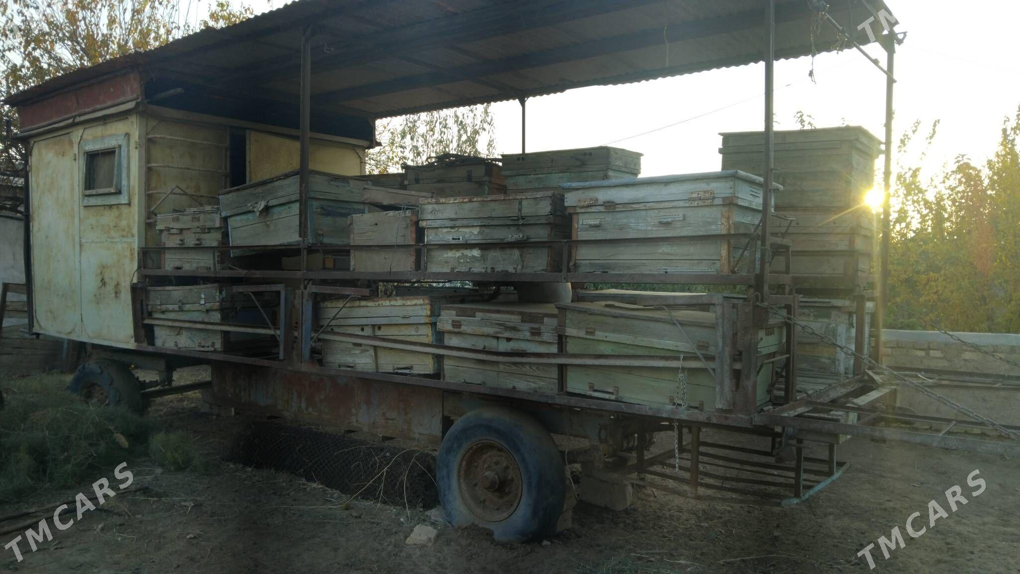 ary teleske - Babadaýhan - img 1