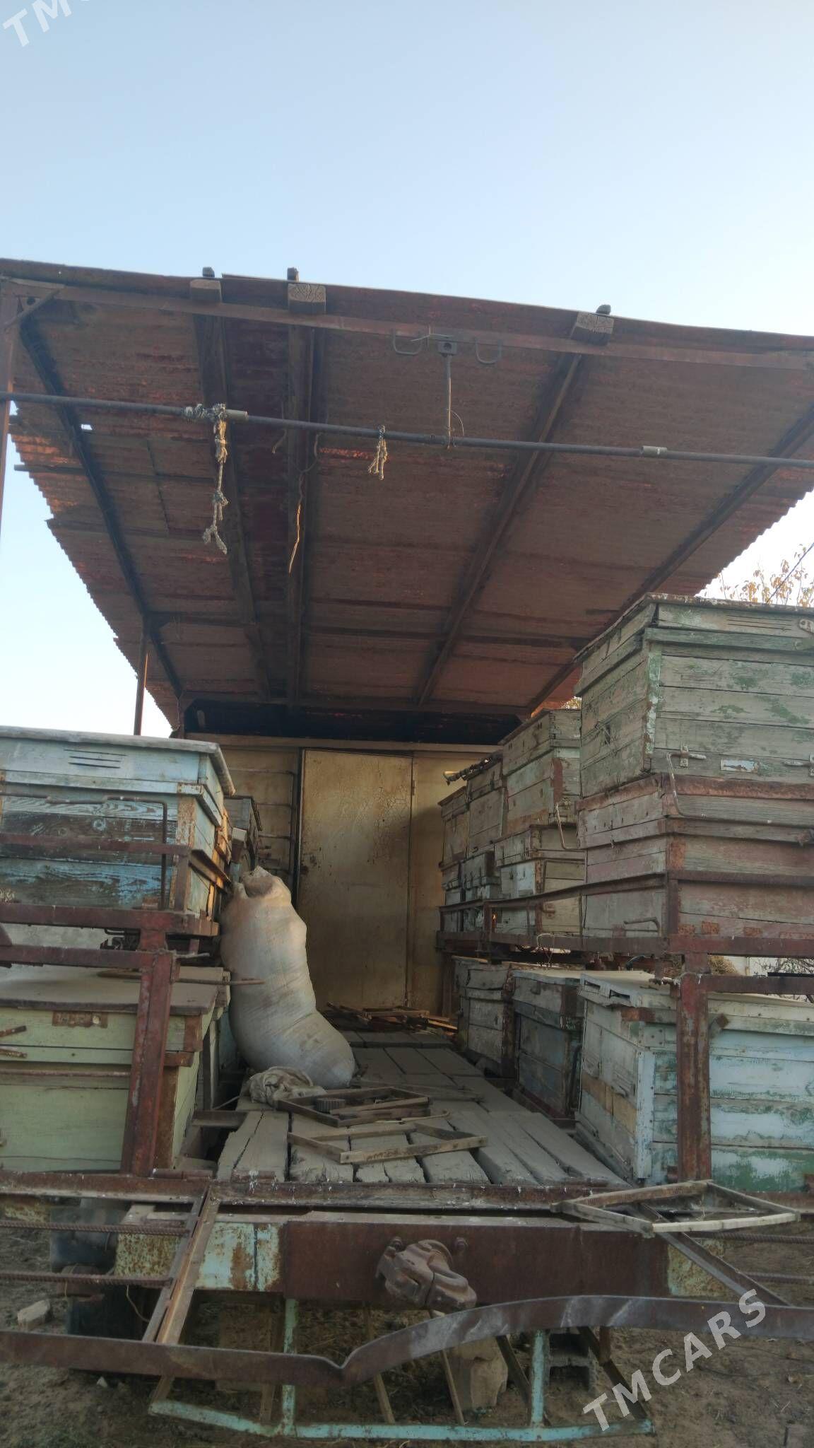 ary teleske - Babadaýhan - img 3