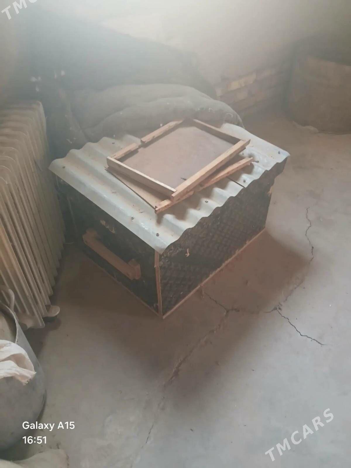 bos ary yashik - Гороглы (Тагта) - img 5