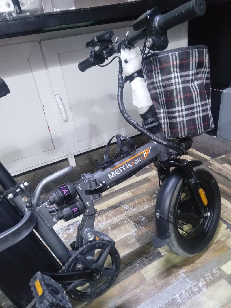 tigir - Gurtly - img 3