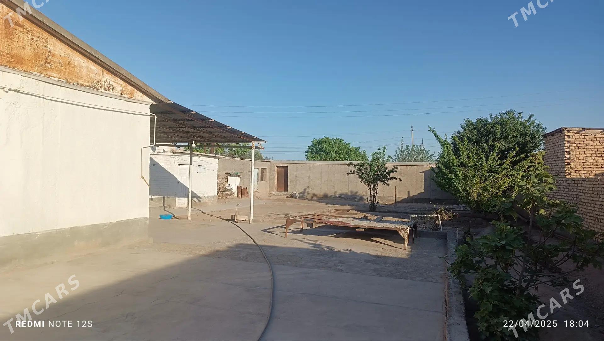 Tejen etrab altynasyr şäherçes - Теджен - img 3