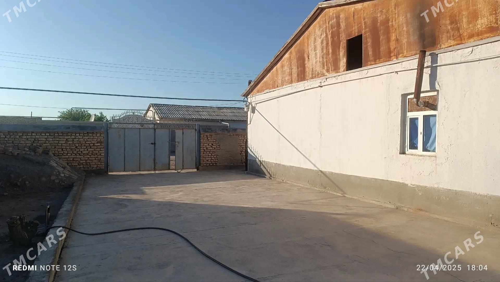 Tejen etrab altynasyr şäherçes - Теджен - img 2