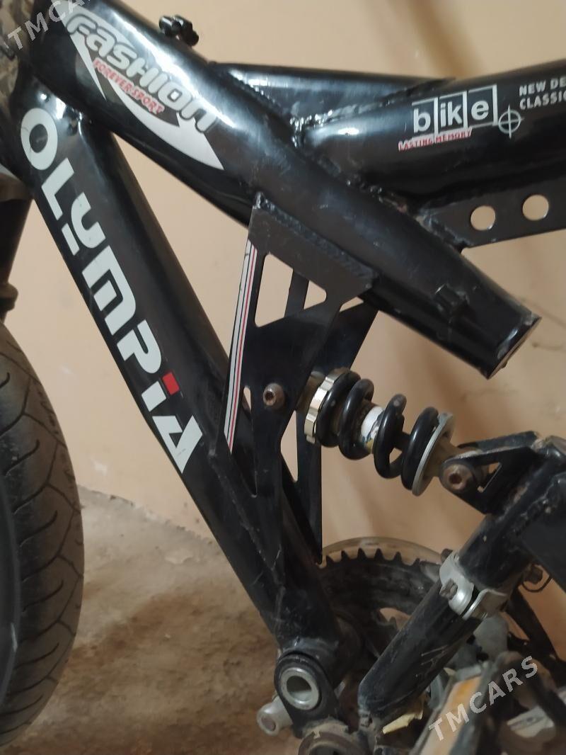 Tigir Olympia - Анев - img 2