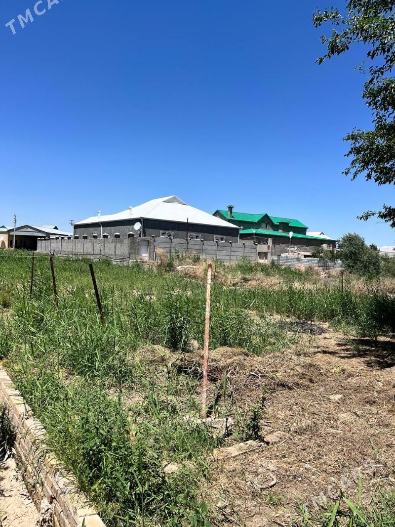 Satlyk daça - Mary - img 8