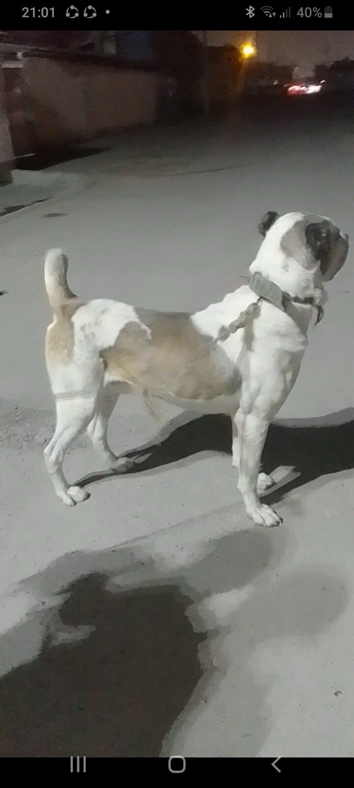 gaplan - Hitrowka - img 3