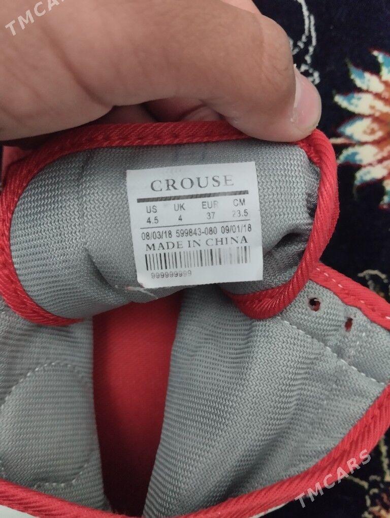 barsowka we trko - Balkanabat - img 4