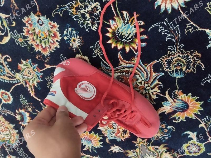 barsowka we trko - Balkanabat - img 2