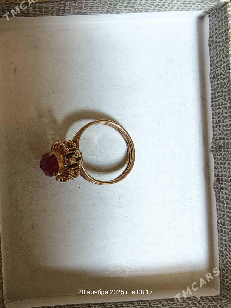 Gyzyl - Mary - img 2