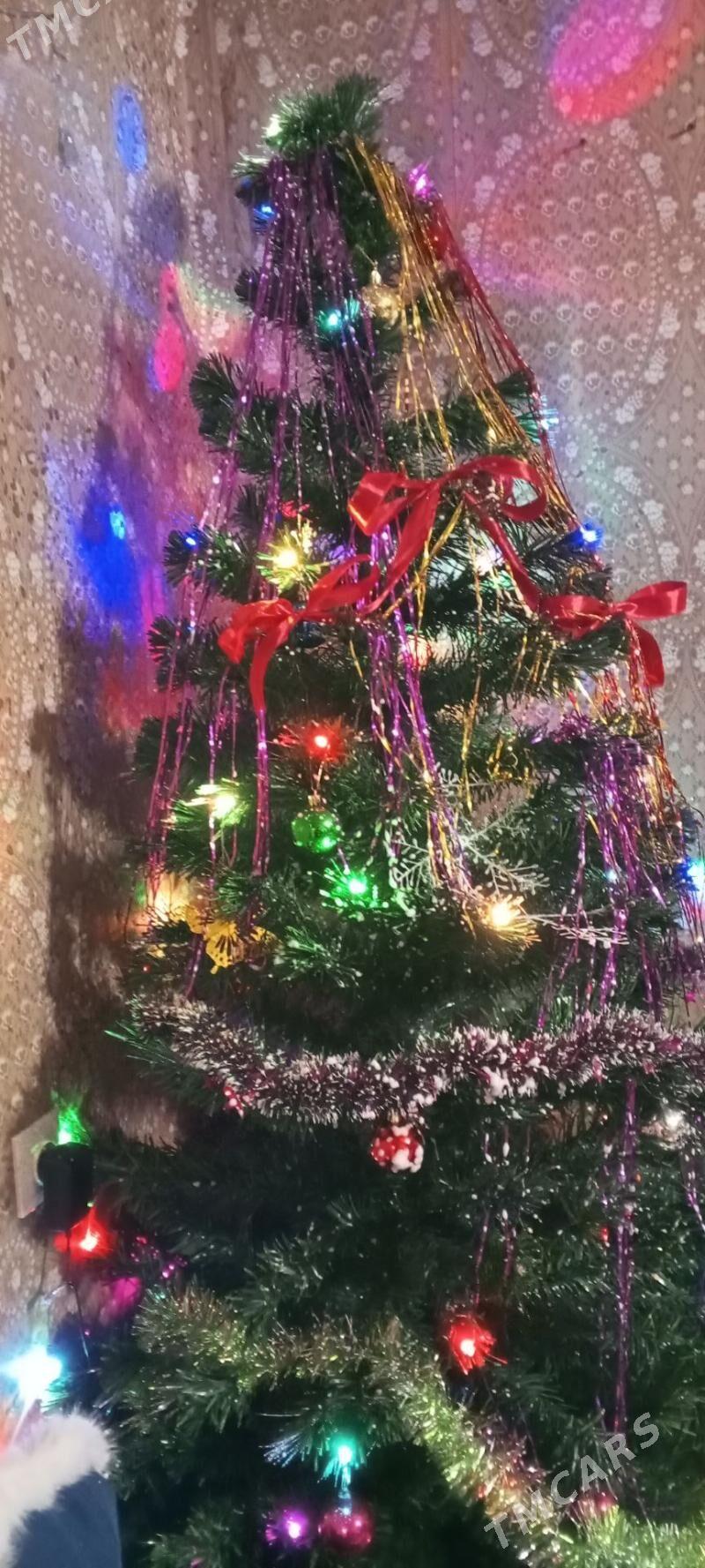 ýolka ёлка - Aşgabat - img 2