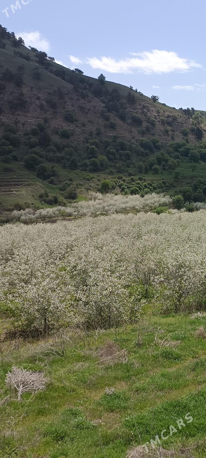 MELLEK YER - Махтумкули - img 1