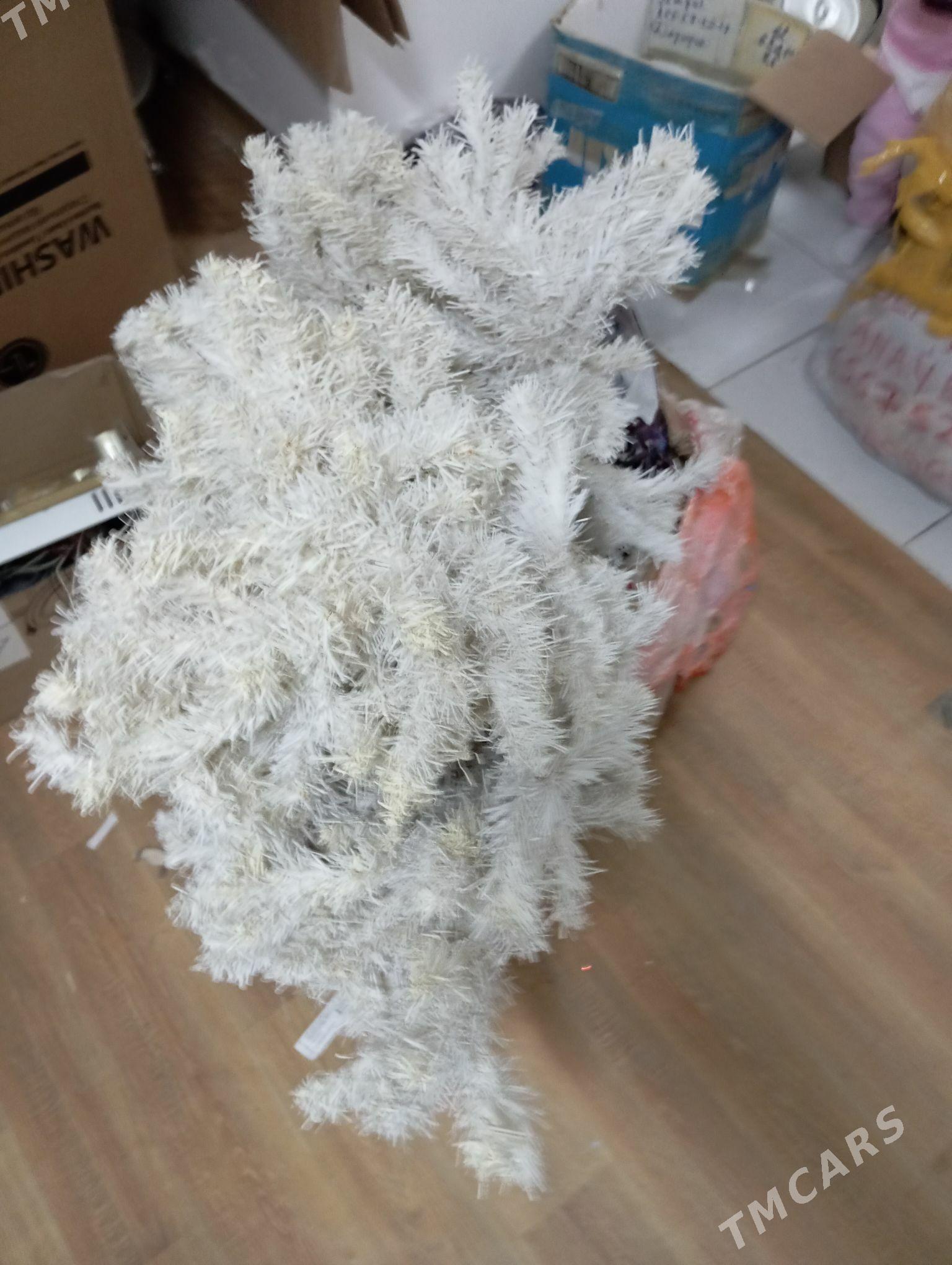 yolka - Daşoguz - img 2