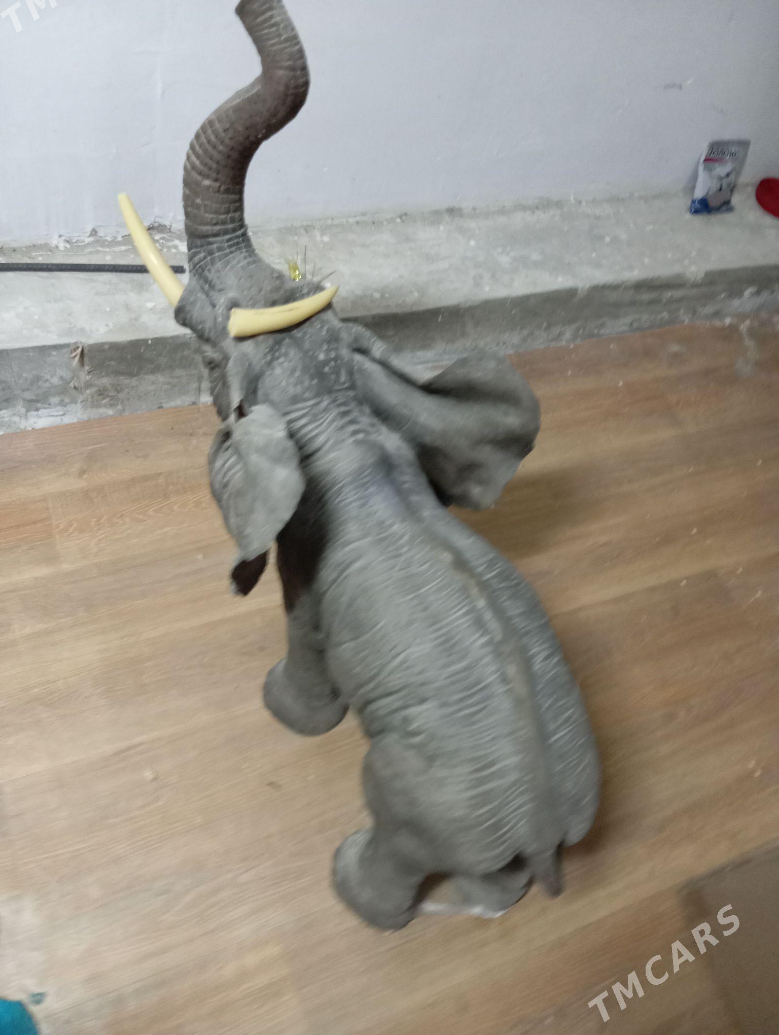 pil dekor - Дашогуз - img 2